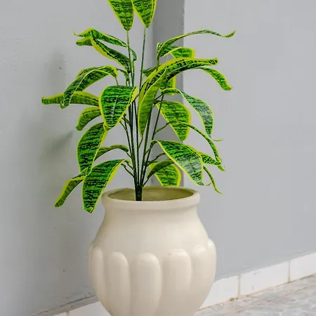 Apartament Kamari - Chania *