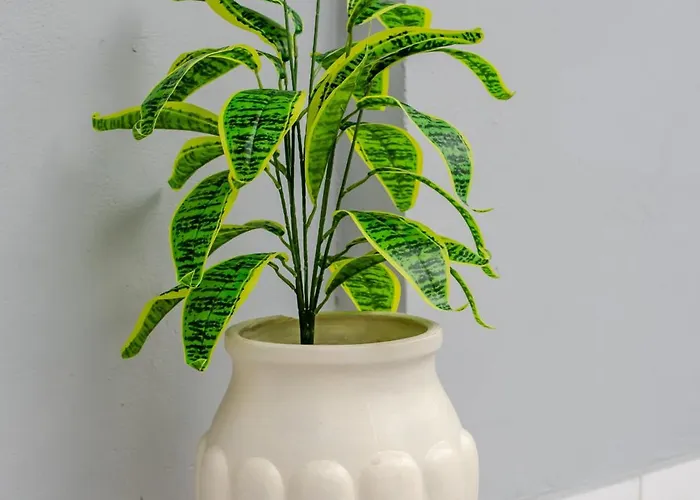 アパート Kamari - Chania *